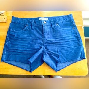 Carve Designs Womens Oahu Short Size 4